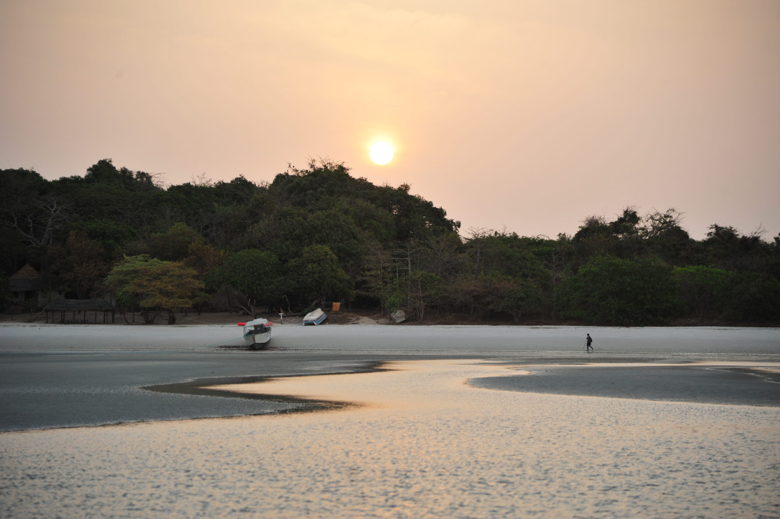 16th CAFÉ General Assembly — Guinea-Bissau 2026 — BioGuinea Foundation and Consortium of African Funds for the Environment